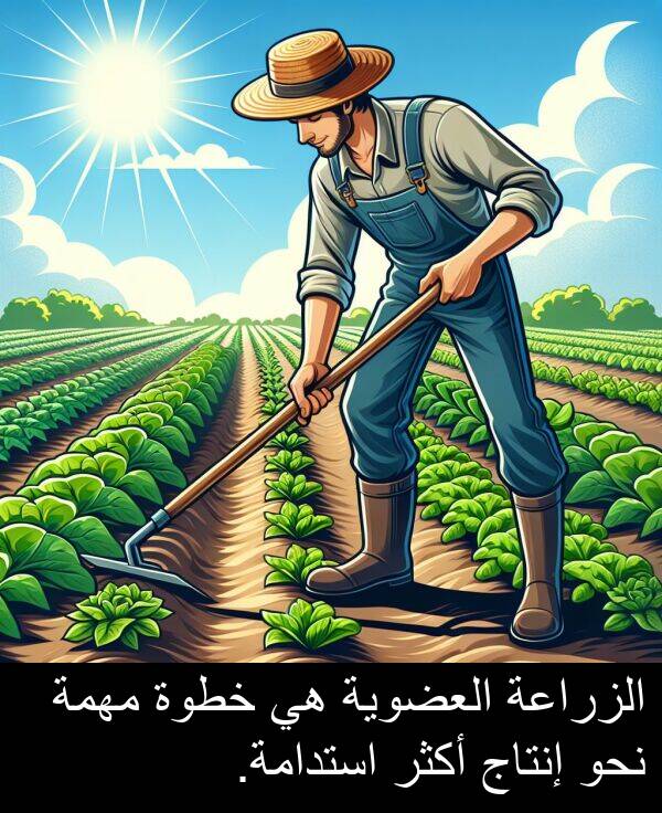 إنتاج: الزراعة العضوية هي خطوة مهمة نحو إنتاج أكثر استدامة.