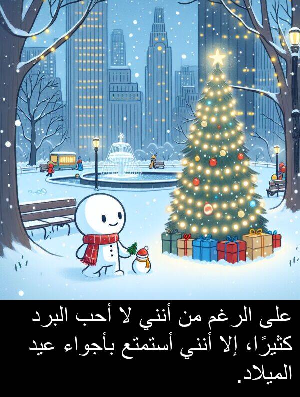 أستمتع: على الرغم من أنني لا أحب البرد كثيرًا، إلا أنني أستمتع بأجواء عيد الميلاد.