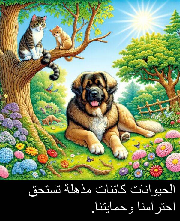 كائنات: الحيوانات كائنات مذهلة تستحق احترامنا وحمايتنا.