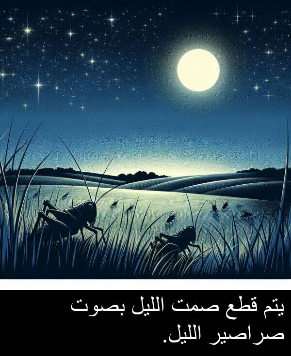 صراصير: يتم قطع صمت الليل بصوت صراصير الليل.