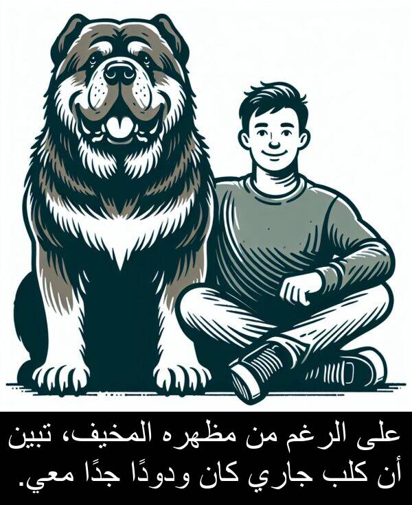 كلب: على الرغم من مظهره المخيف، تبين أن كلب جاري كان ودودًا جدًا معي.
