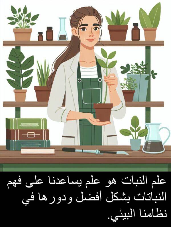 يساعدنا: علم النبات هو علم يساعدنا على فهم النباتات بشكل أفضل ودورها في نظامنا البيئي.
