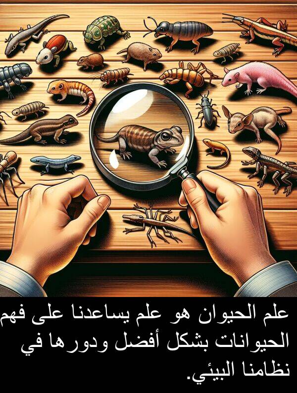 يساعدنا: علم الحيوان هو علم يساعدنا على فهم الحيوانات بشكل أفضل ودورها في نظامنا البيئي.