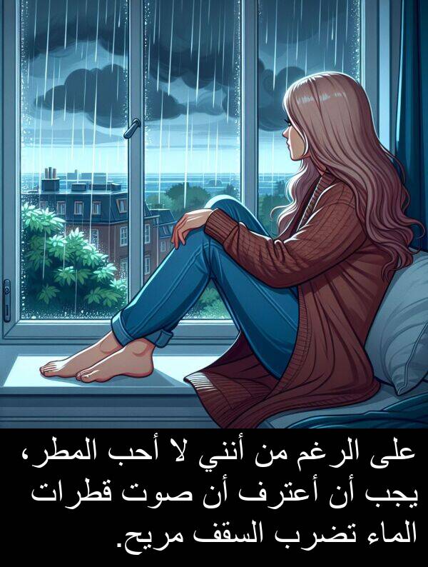 صوت: على الرغم من أنني لا أحب المطر، يجب أن أعترف أن صوت قطرات الماء تضرب السقف مريح.