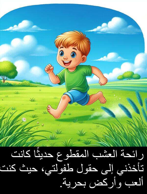 رائحة: رائحة العشب المقطوع حديثًا كانت تأخذني إلى حقول طفولتي، حيث كنت ألعب وأركض بحرية.