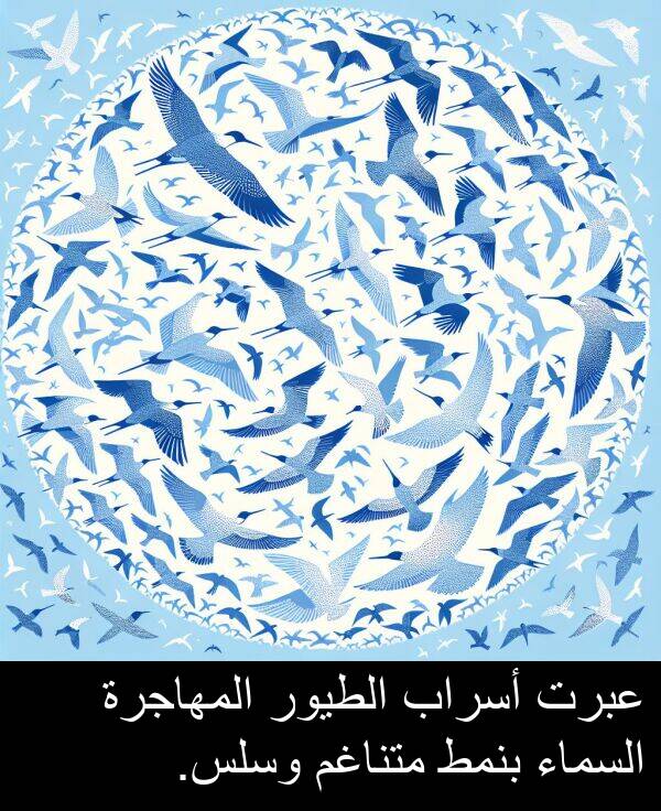 عبرت: عبرت أسراب الطيور المهاجرة السماء بنمط متناغم وسلس.
