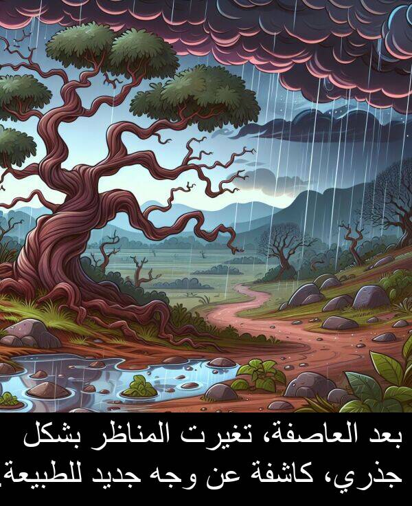 كاشفة: بعد العاصفة، تغيرت المناظر بشكل جذري، كاشفة عن وجه جديد للطبيعة.