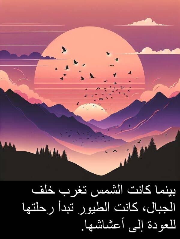 رحلتها: بينما كانت الشمس تغرب خلف الجبال، كانت الطيور تبدأ رحلتها للعودة إلى أعشاشها.