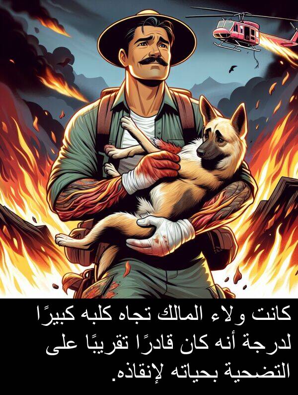 كلبه: كانت ولاء المالك تجاه كلبه كبيرًا لدرجة أنه كان قادرًا تقريبًا على التضحية بحياته لإنقاذه.