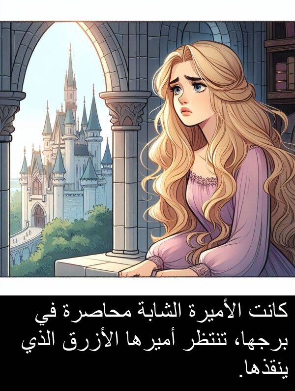 الشابة: كانت الأميرة الشابة محاصرة في برجها، تنتظر أميرها الأزرق الذي ينقذها.