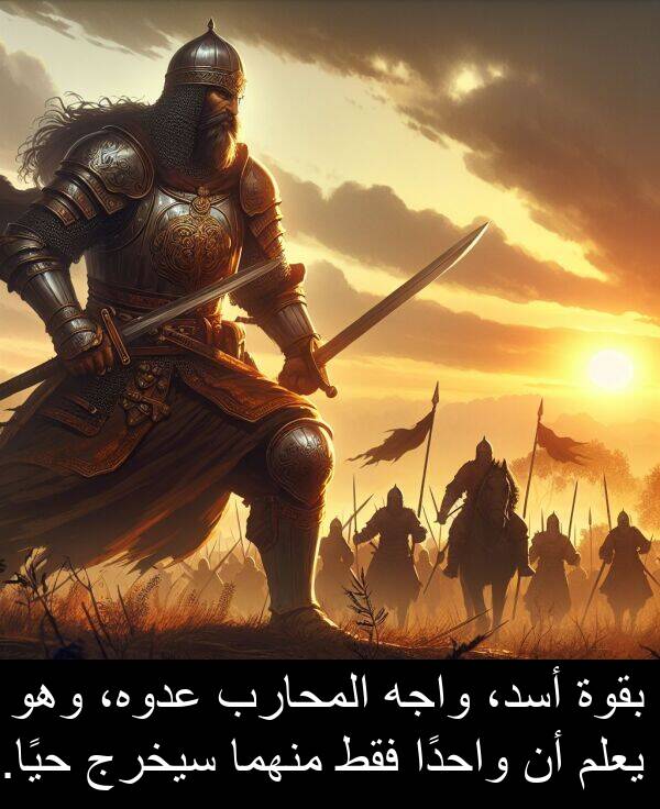 واجه: بقوة أسد، واجه المحارب عدوه، وهو يعلم أن واحدًا فقط منهما سيخرج حيًا.