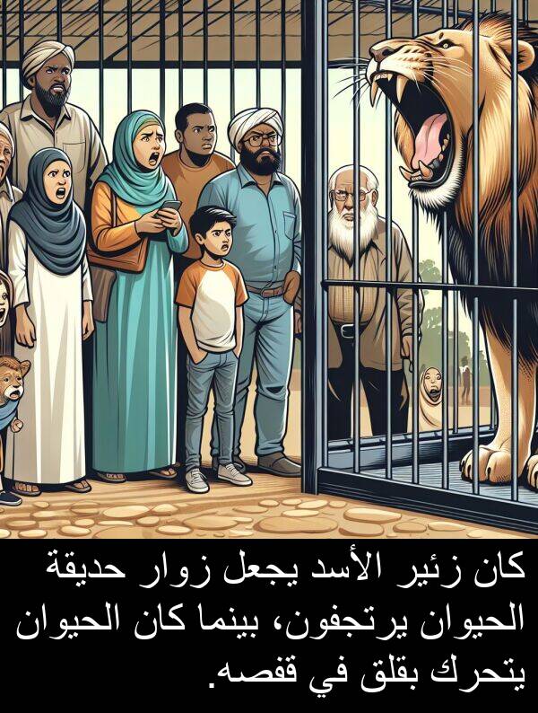 يرتجفون،: كان زئير الأسد يجعل زوار حديقة الحيوان يرتجفون، بينما كان الحيوان يتحرك بقلق في قفصه.