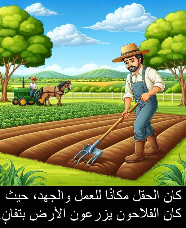 يزرعون: كان الحقل مكانًا للعمل والجهد، حيث كان الفلاحون يزرعون الأرض بتفانٍ.