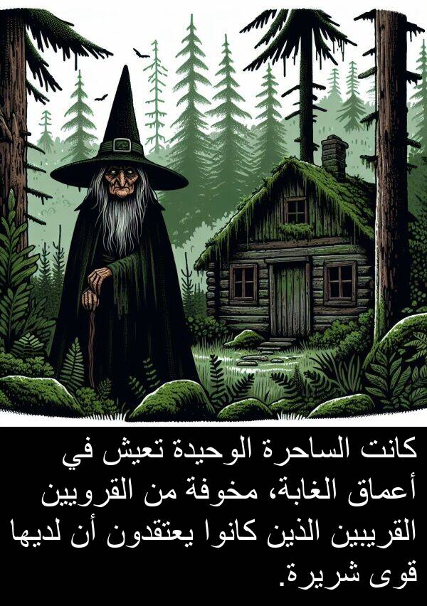 شريرة: كانت الساحرة الوحيدة تعيش في أعماق الغابة، مخوفة من القرويين القريبين الذين كانوا يعتقدون أن لديها قوى شريرة.