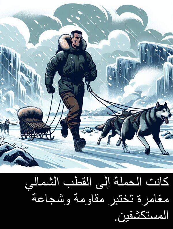 الشمالي: كانت الحملة إلى القطب الشمالي مغامرة تختبر مقاومة وشجاعة المستكشفين.