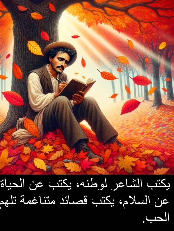 قصائد: يكتب الشاعر لوطنه، يكتب عن الحياة، عن السلام، يكتب قصائد متناغمة تلهم الحب.