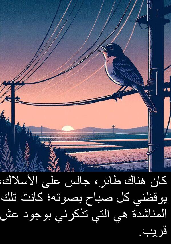 طائر،: كان هناك طائر، جالس على الأسلاك، يوقظني كل صباح بصوته؛ كانت تلك المناشدة هي التي تذكرني بوجود عش قريب.