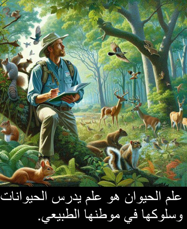 يدرس: علم الحيوان هو علم يدرس الحيوانات وسلوكها في موطنها الطبيعي.
