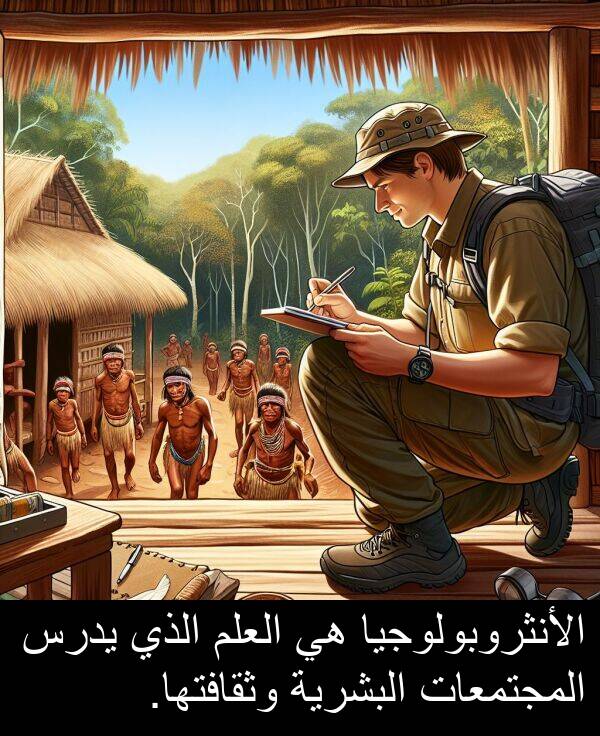يدرس: الأنثروبولوجيا هي العلم الذي يدرس المجتمعات البشرية وثقافتها.