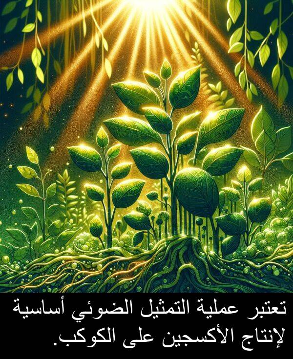 أساسية: تعتبر عملية التمثيل الضوئي أساسية لإنتاج الأكسجين على الكوكب.