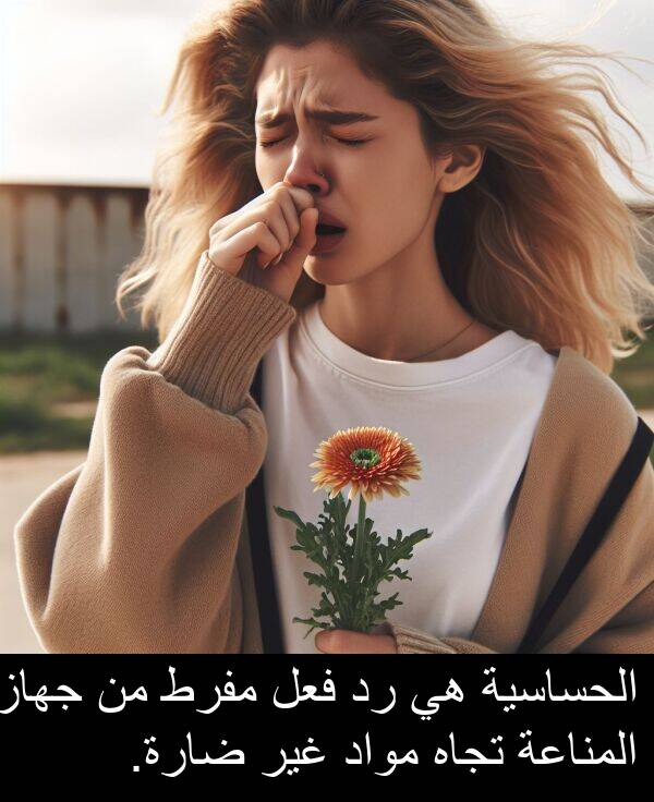 ضارة: الحساسية هي رد فعل مفرط من جهاز المناعة تجاه مواد غير ضارة.