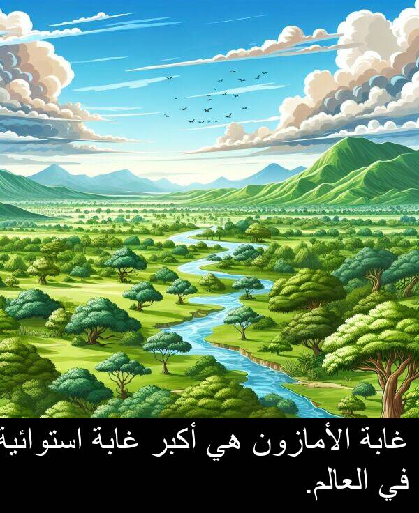غابة: غابة الأمازون هي أكبر غابة استوائية في العالم.