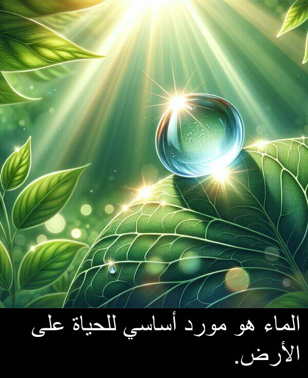 أساسي: الماء هو مورد أساسي للحياة على الأرض.