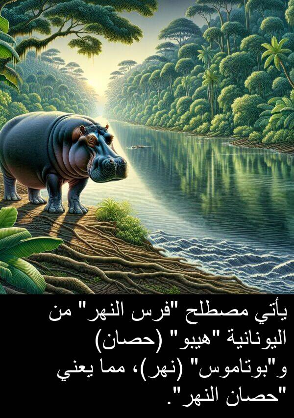 يأتي: يأتي مصطلح "فرس النهر" من اليونانية "هيبو" (حصان) و"بوتاموس" (نهر)، مما يعني "حصان النهر".