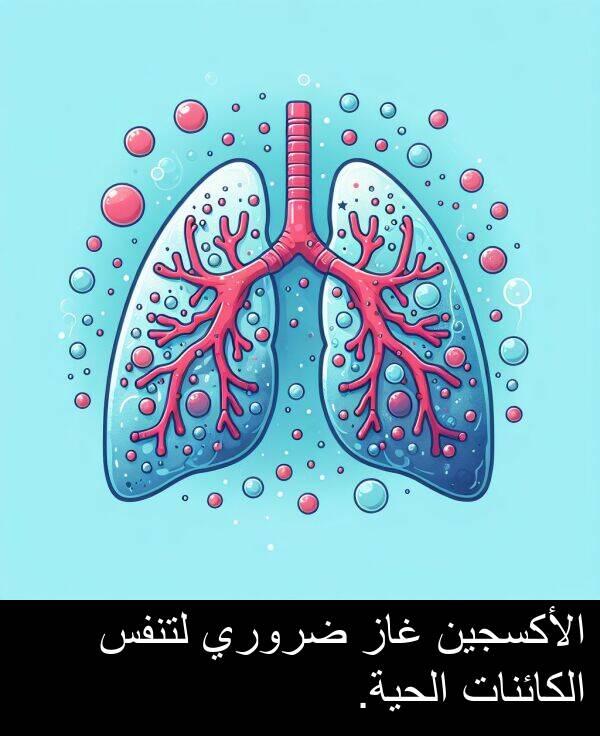 لتنفس: الأكسجين غاز ضروري لتنفس الكائنات الحية.