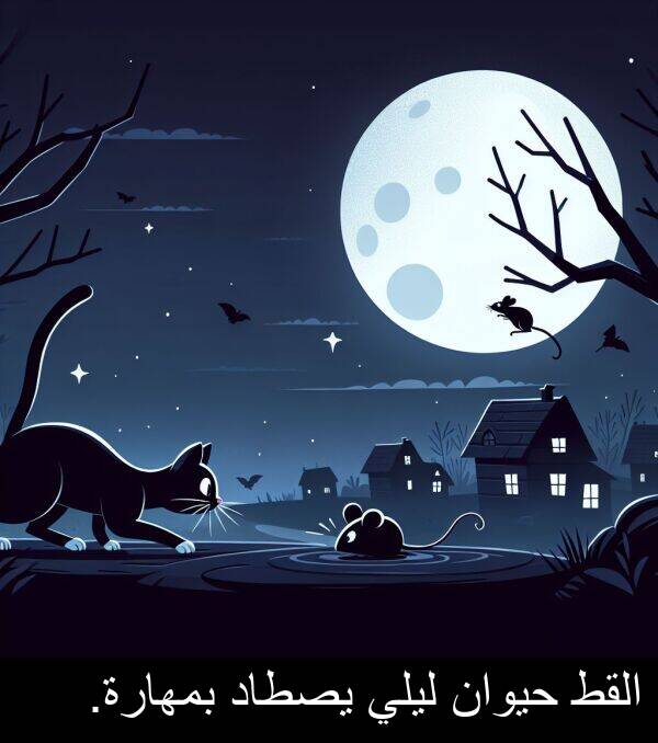 يصطاد: القط حيوان ليلي يصطاد بمهارة.