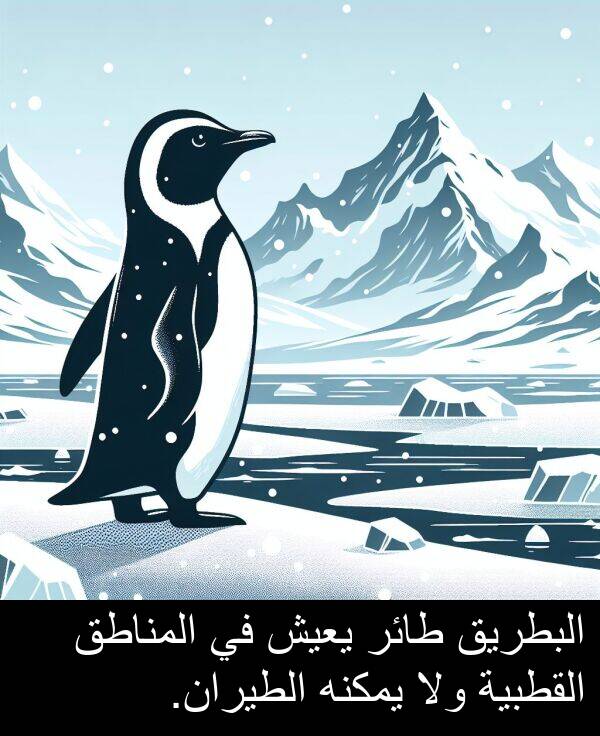 يعيش: البطريق طائر يعيش في المناطق القطبية ولا يمكنه الطيران.