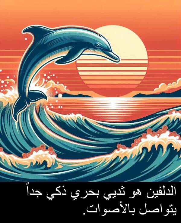 ذكي: الدلفين هو ثديي بحري ذكي جداً يتواصل بالأصوات.