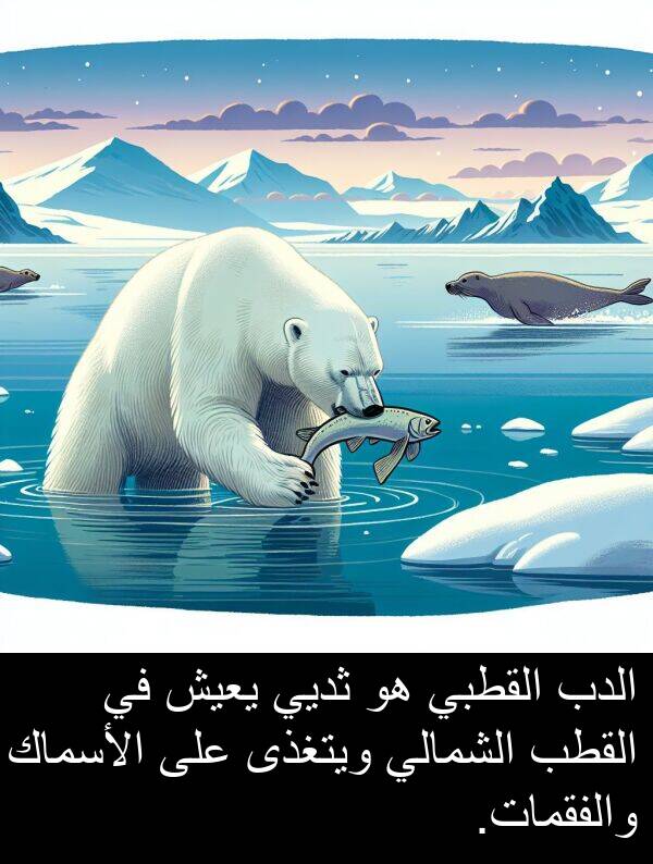 والفقمات: الدب القطبي هو ثديي يعيش في القطب الشمالي ويتغذى على الأسماك والفقمات.