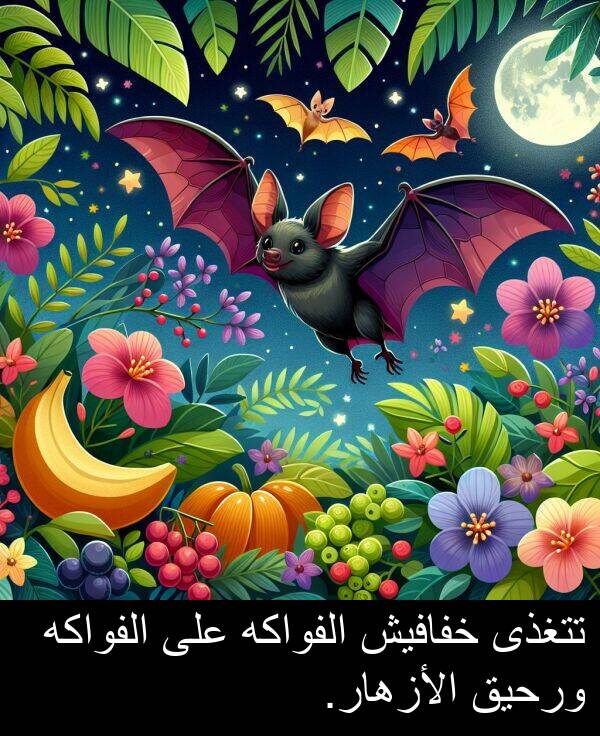 تتغذى: تتغذى خفافيش الفواكه على الفواكه ورحيق الأزهار.