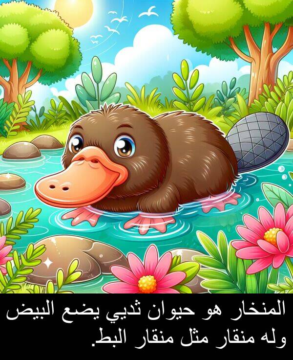 يضع: المنخار هو حيوان ثديي يضع البيض وله منقار مثل منقار البط.