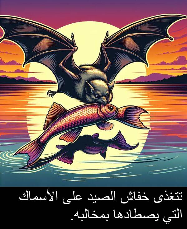 تتغذى: تتغذى خفاش الصيد على الأسماك التي يصطادها بمخالبه.