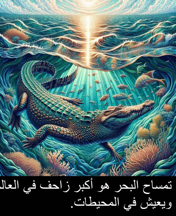 زاحف: تمساح البحر هو أكبر زاحف في العالم ويعيش في المحيطات.