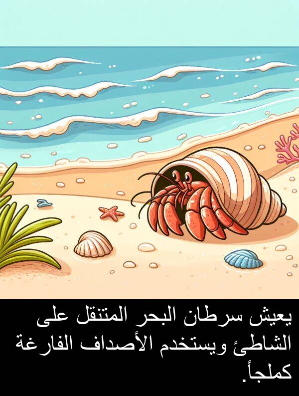 كملجأ: يعيش سرطان البحر المتنقل على الشاطئ ويستخدم الأصداف الفارغة كملجأ.