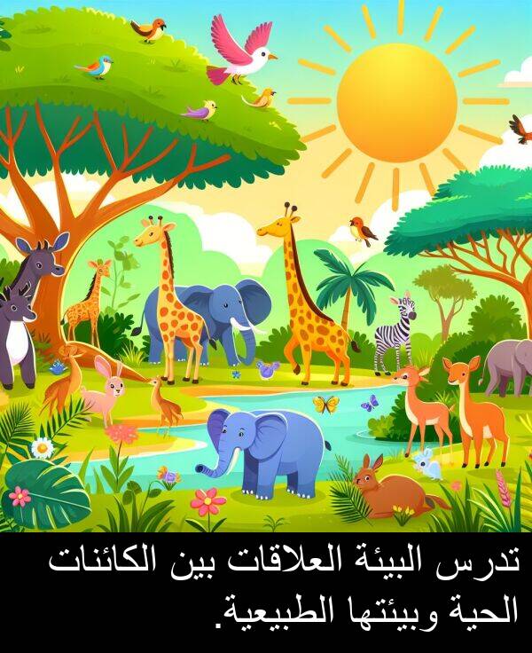 البيئة: تدرس البيئة العلاقات بين الكائنات الحية وبيئتها الطبيعية.