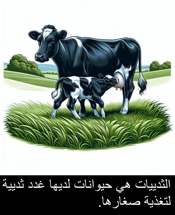 صغارها: الثدييات هي حيوانات لديها غدد ثديية لتغذية صغارها.
