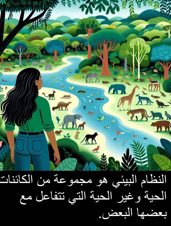 تتفاعل: النظام البيئي هو مجموعة من الكائنات الحية وغير الحية التي تتفاعل مع بعضها البعض.