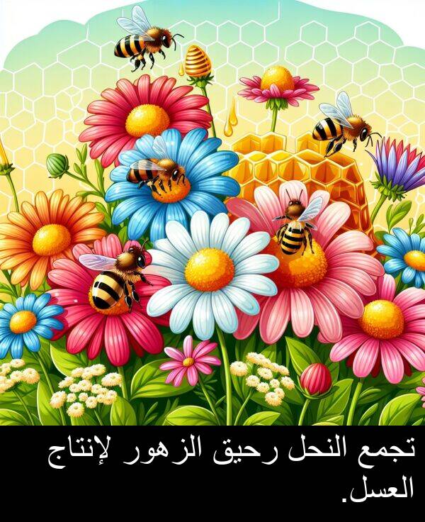 لإنتاج: تجمع النحل رحيق الزهور لإنتاج العسل.