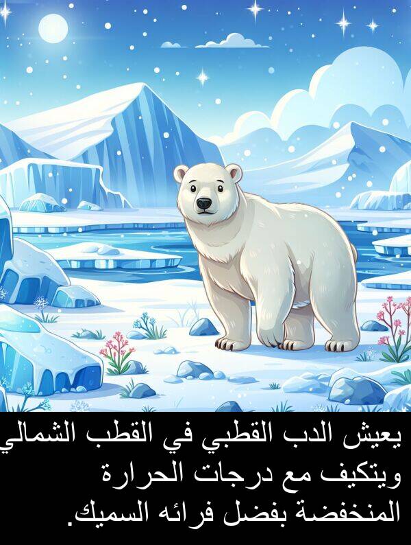 درجات: يعيش الدب القطبي في القطب الشمالي ويتكيف مع درجات الحرارة المنخفضة بفضل فرائه السميك.