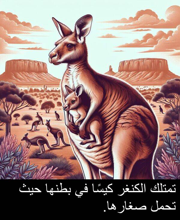صغارها: تمتلك الكنغر كيسًا في بطنها حيث تحمل صغارها.