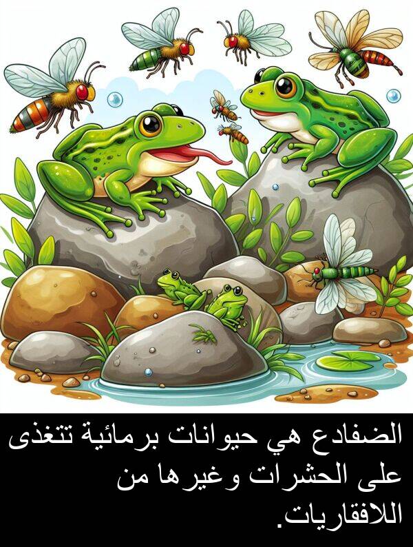 تتغذى: الضفادع هي حيوانات برمائية تتغذى على الحشرات وغيرها من اللافقاريات.