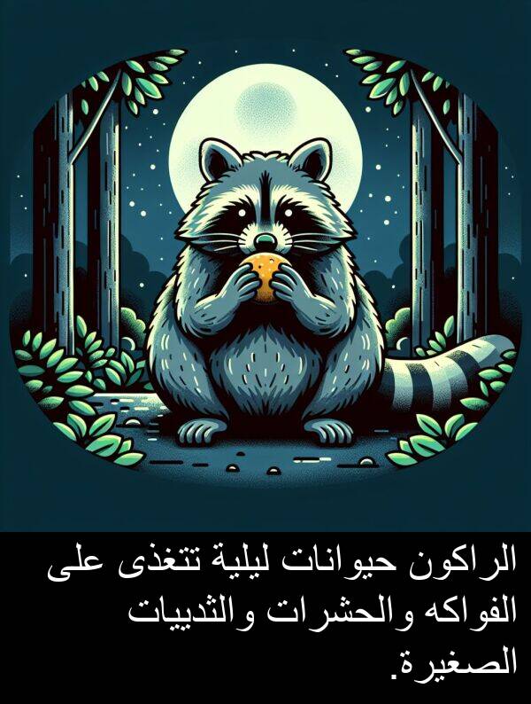 تتغذى: الراكون حيوانات ليلية تتغذى على الفواكه والحشرات والثدييات الصغيرة.