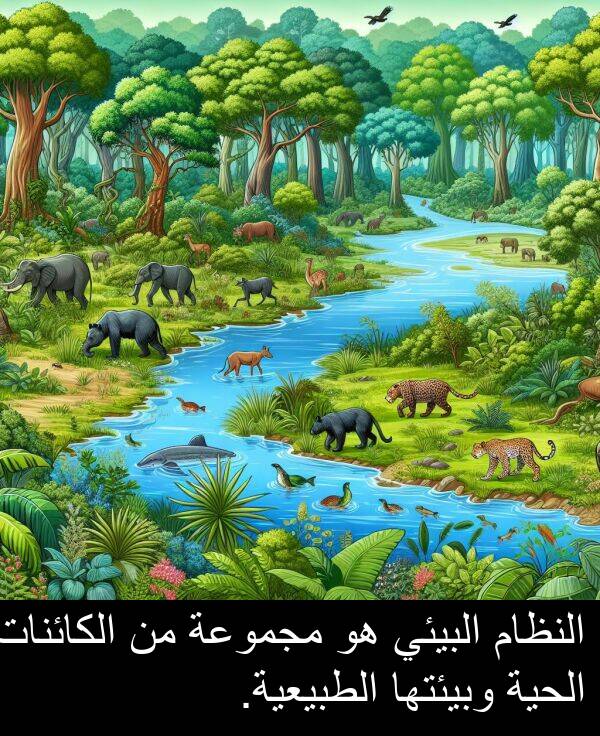 الكائنات: النظام البيئي هو مجموعة من الكائنات الحية وبيئتها الطبيعية.