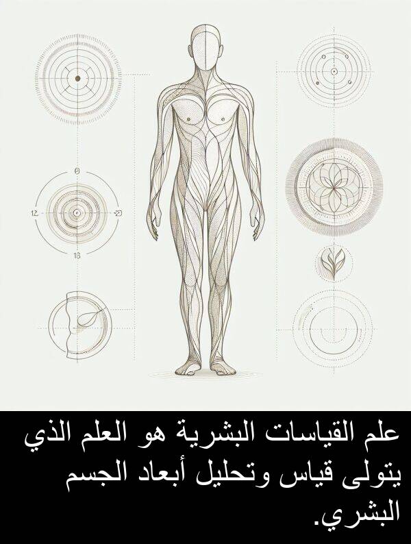 أبعاد: علم القياسات البشرية هو العلم الذي يتولى قياس وتحليل أبعاد الجسم البشري.