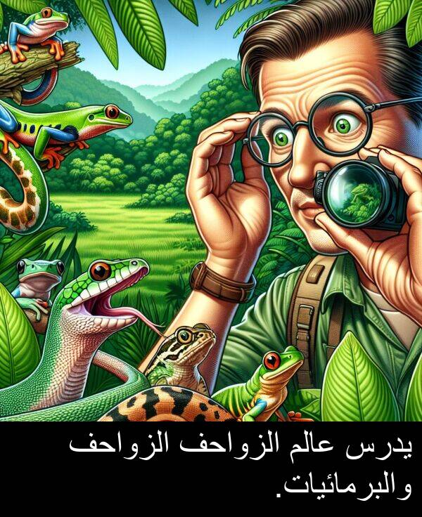 عالم: يدرس عالم الزواحف الزواحف والبرمائيات.