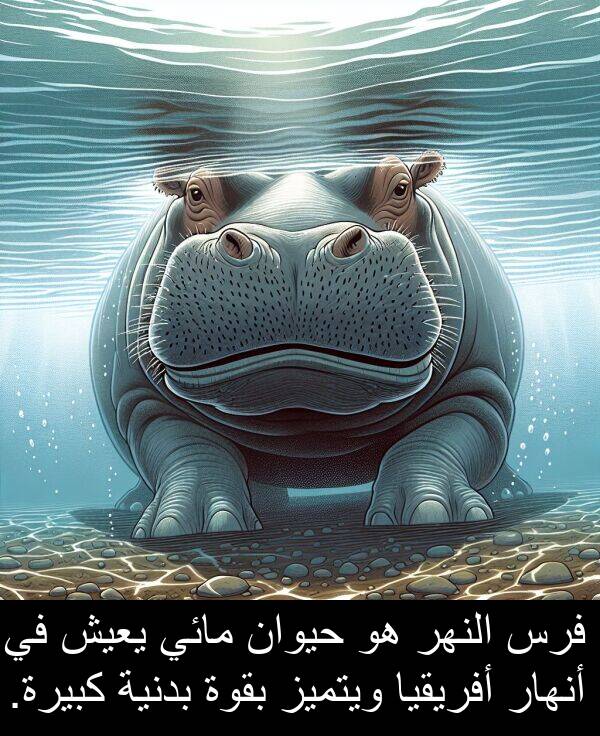 أنهار: فرس النهر هو حيوان مائي يعيش في أنهار أفريقيا ويتميز بقوة بدنية كبيرة.